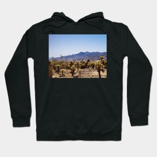 Photo of Cholla Cactus at Joshua Tree National Park V1 Hoodie